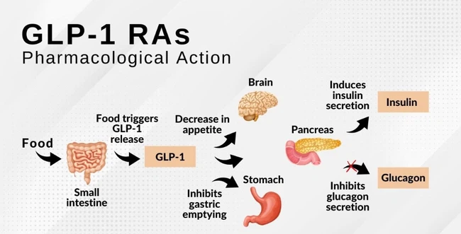 info-994-506 info-994-506